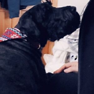 Meet your Posher, Abby